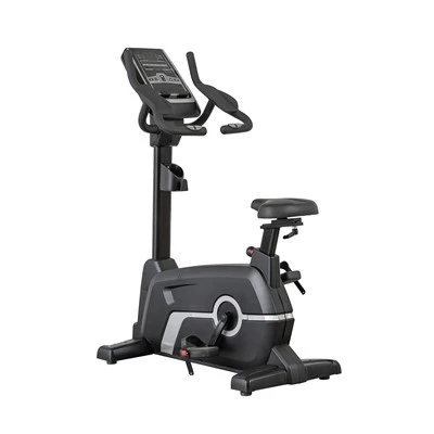 Kev Lag Luam Qib Magnetic Control Upright Bike