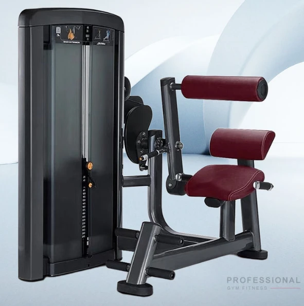 Back Extension Trainer: Refine Back Muscles suppliers
