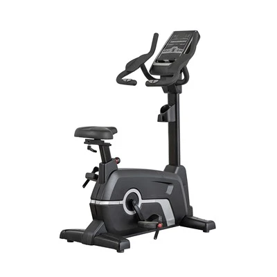 Sib Nqus Resistance Upright Exercise Bike